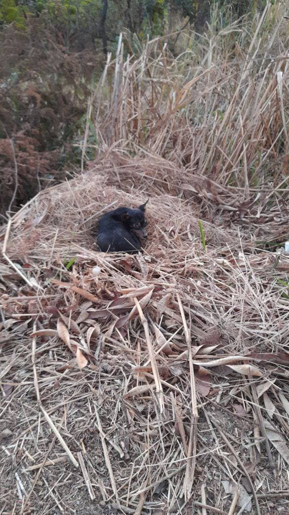 2ª imagem da campanha