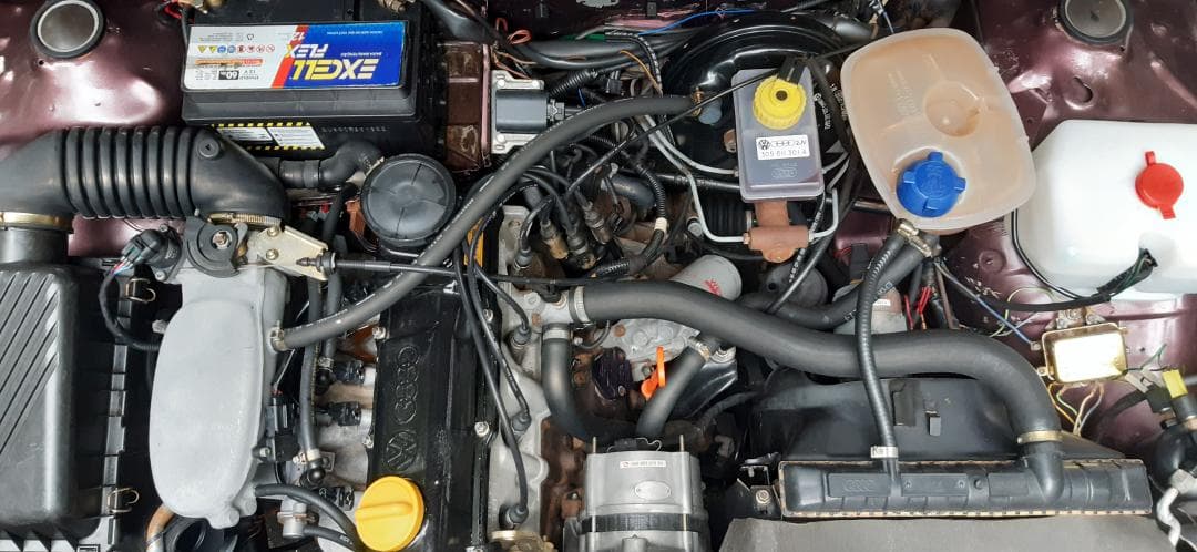 7ª imagem da campanha