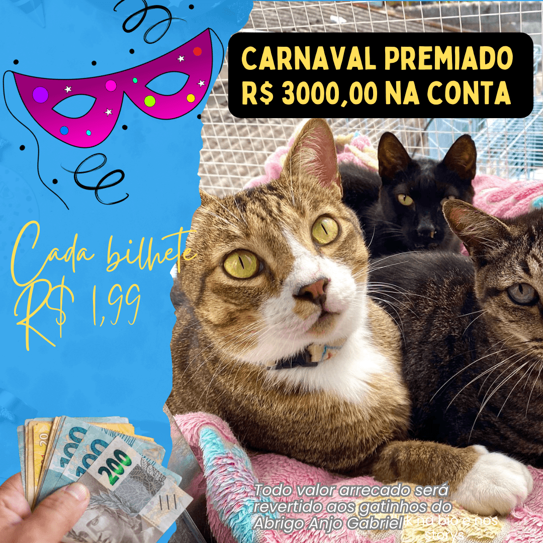 1ª imagem da campanha