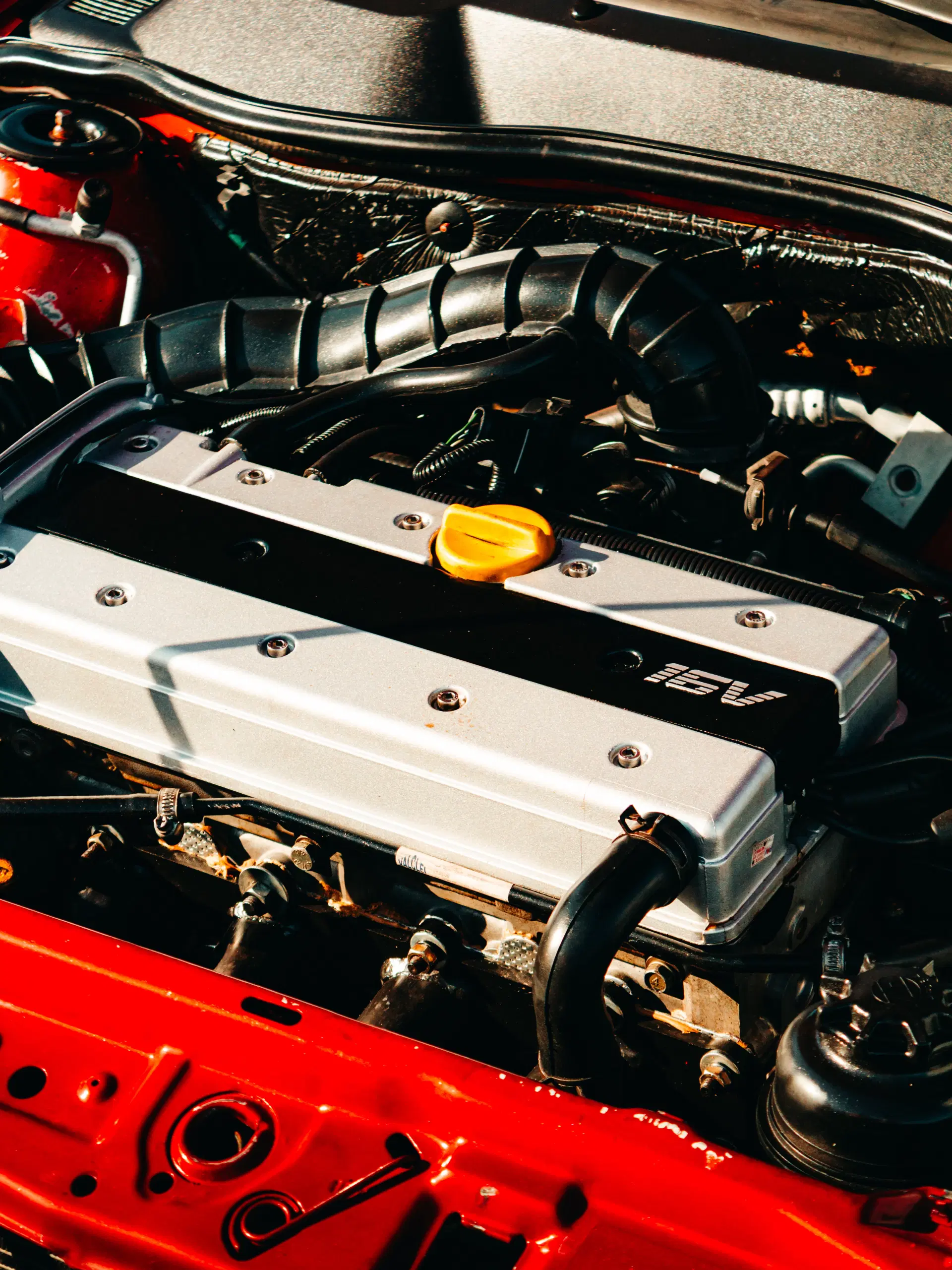 6ª imagem da campanha