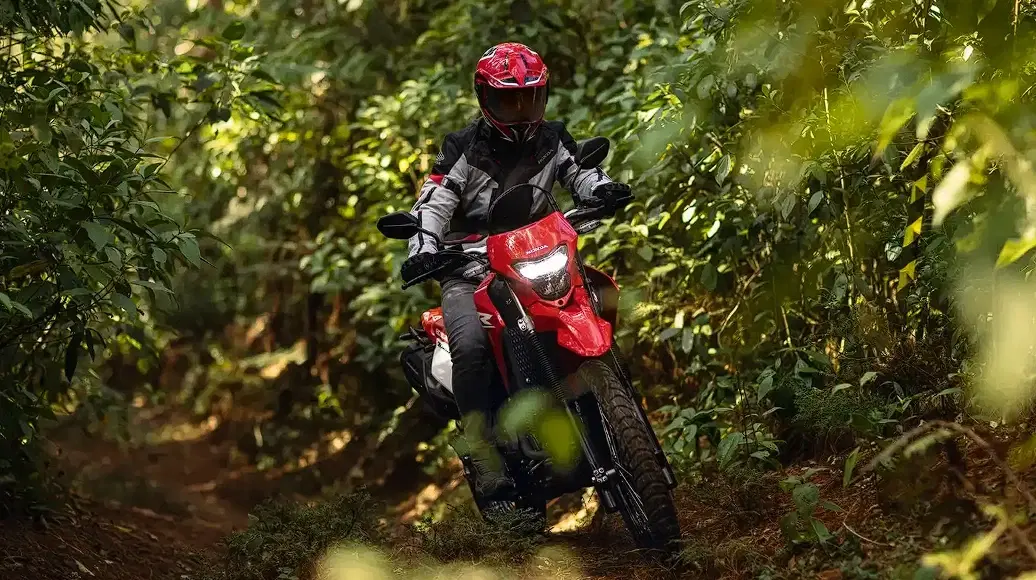 8ª imagem da campanha