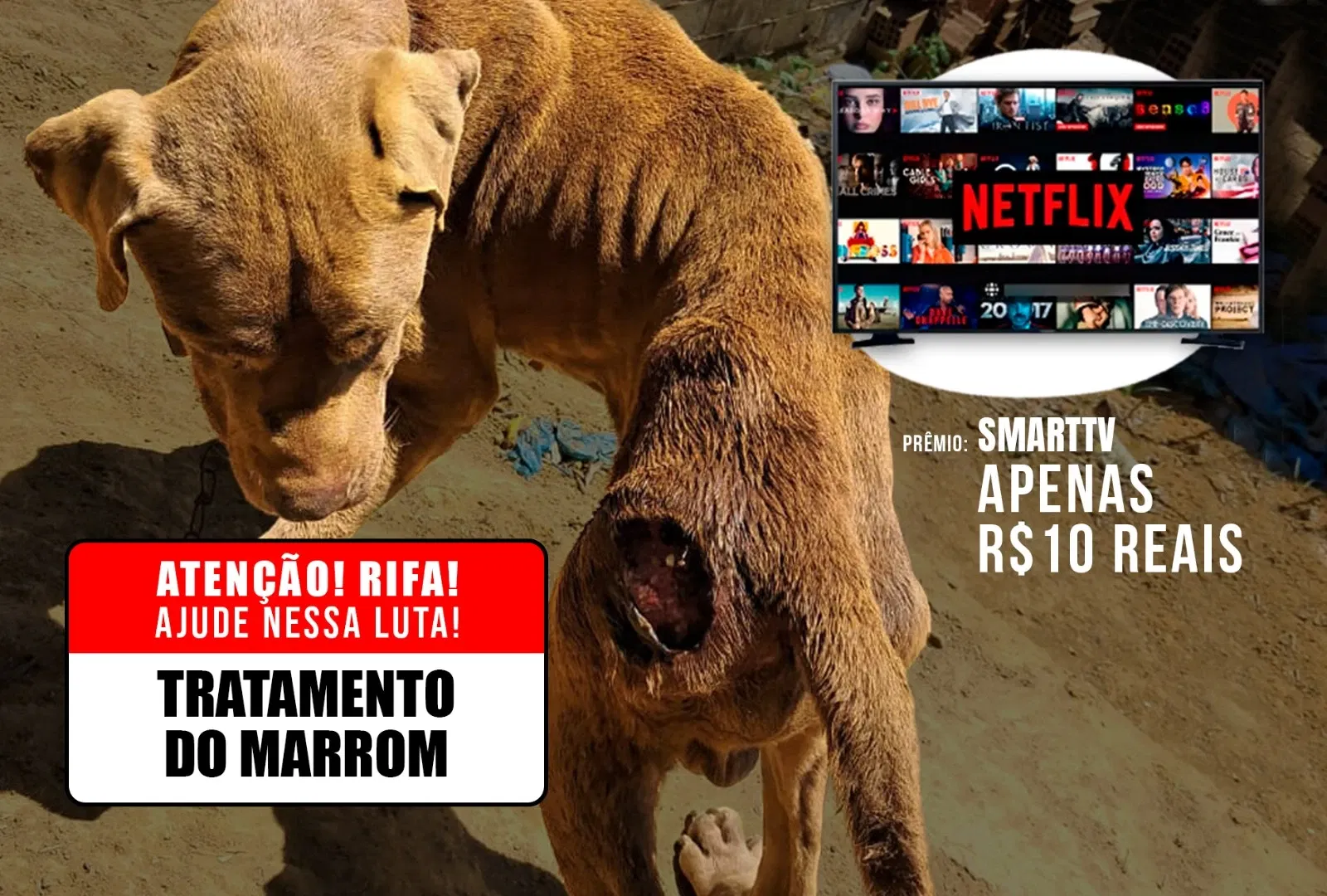 Ajude no tratamento do Marrom!!