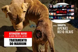 Ajude no tratamento do Marrom!!