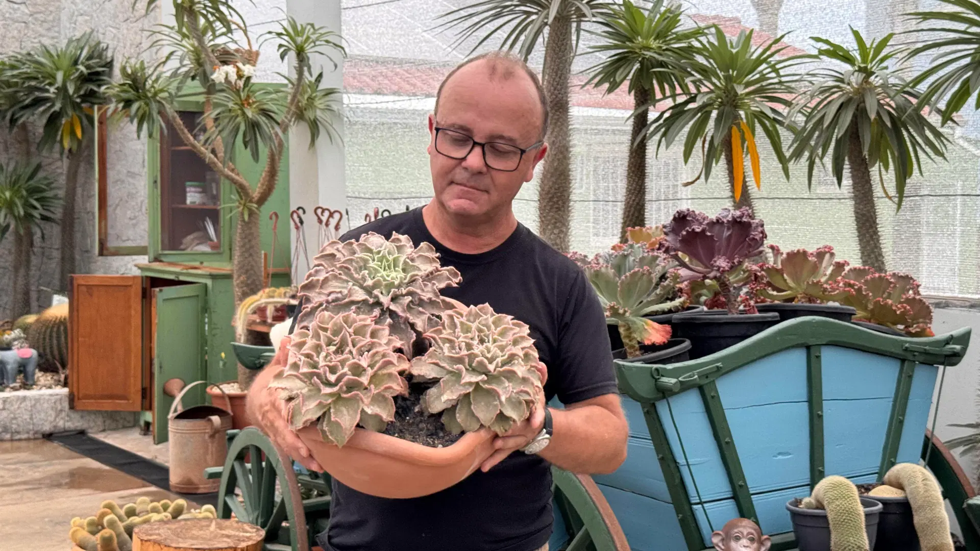 1ª imagem da campanha