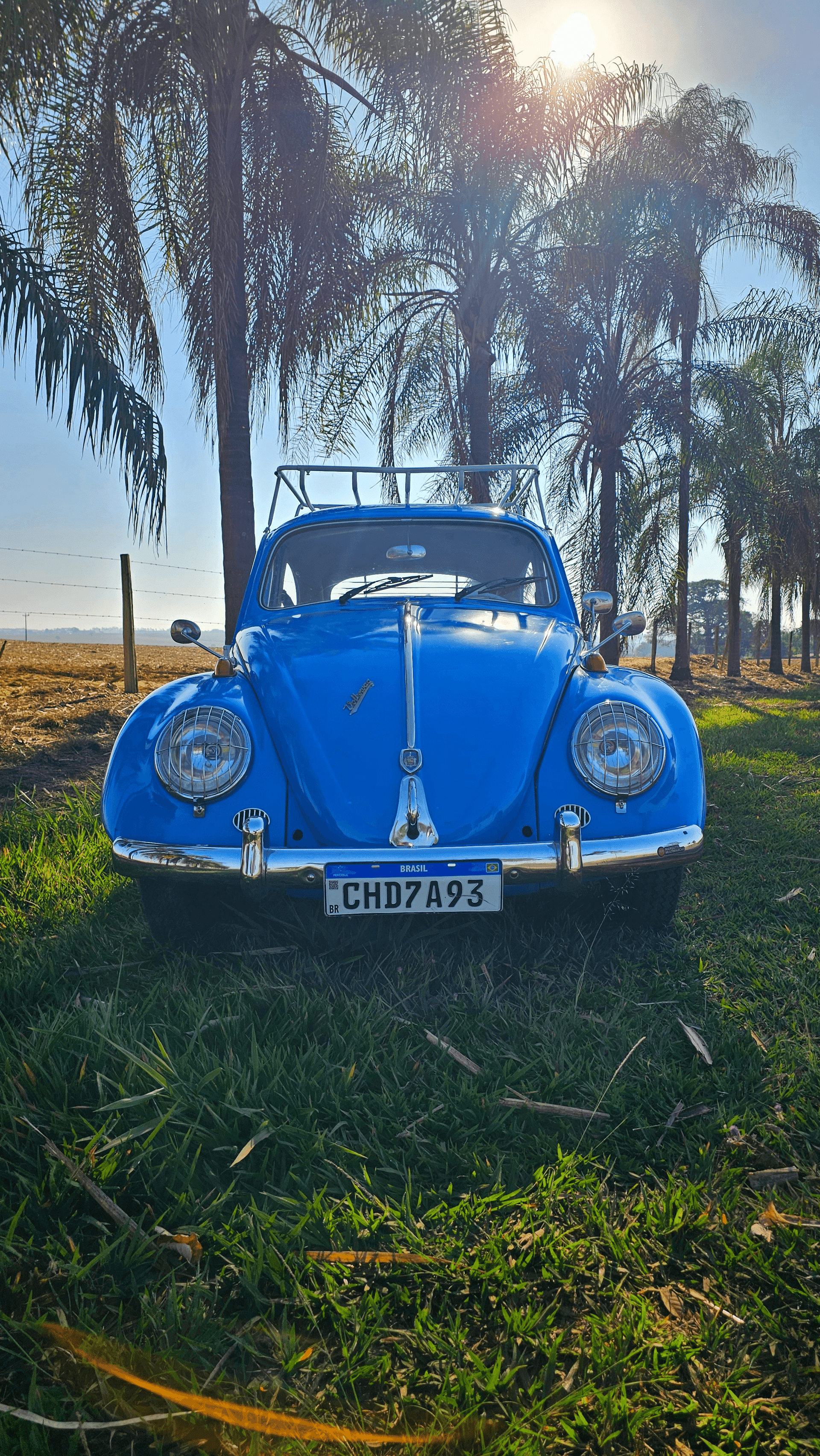 13ª imagem da campanha