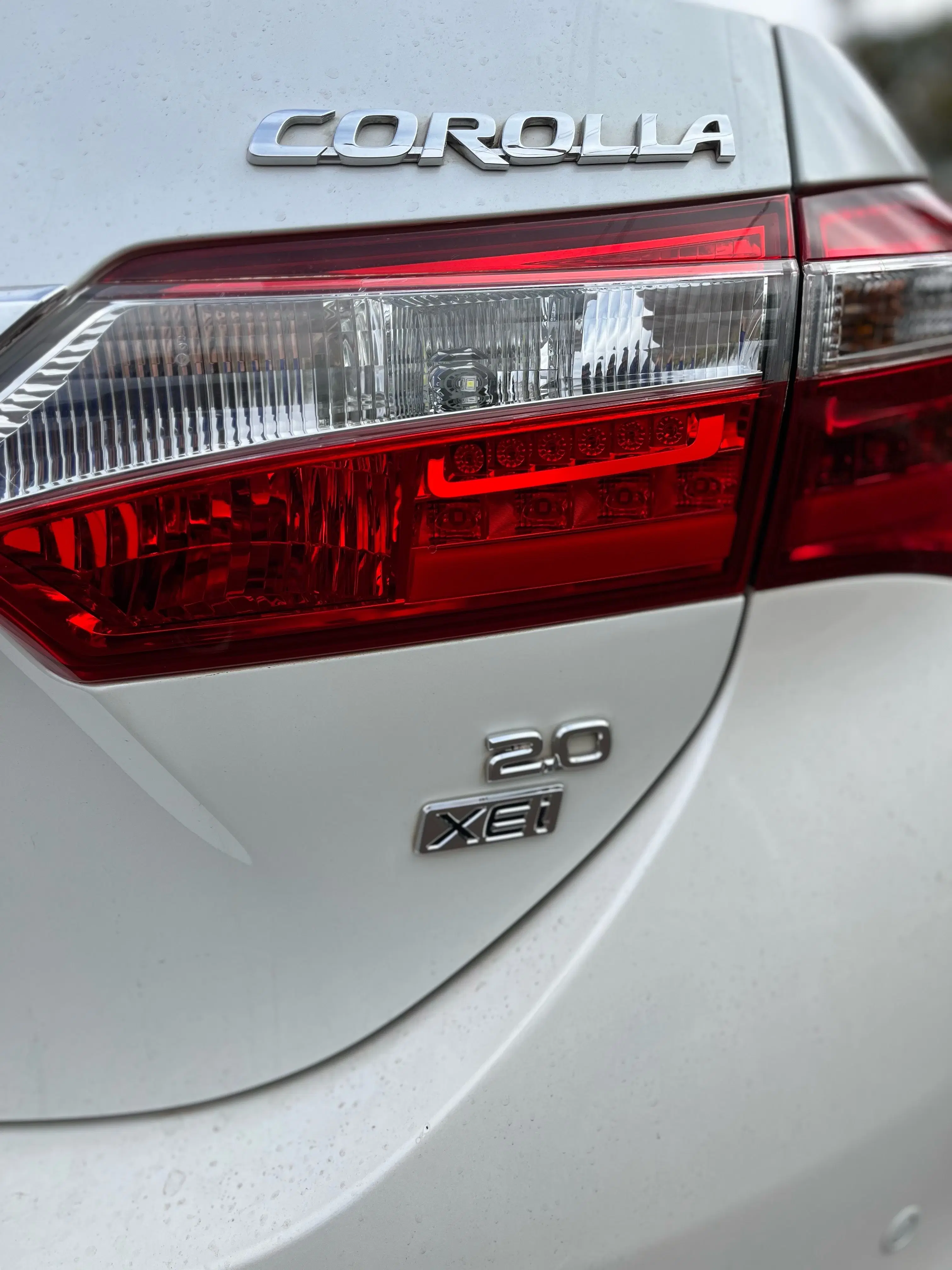 9ª imagem da campanha