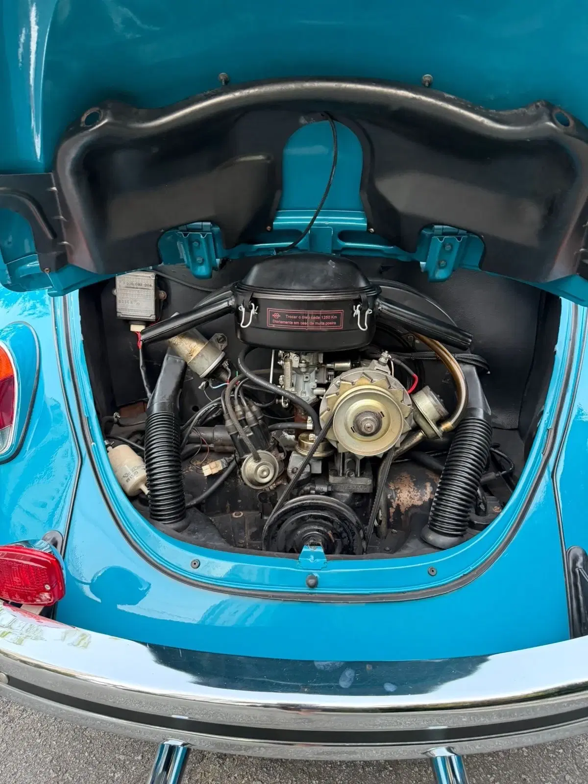 13ª imagem da campanha