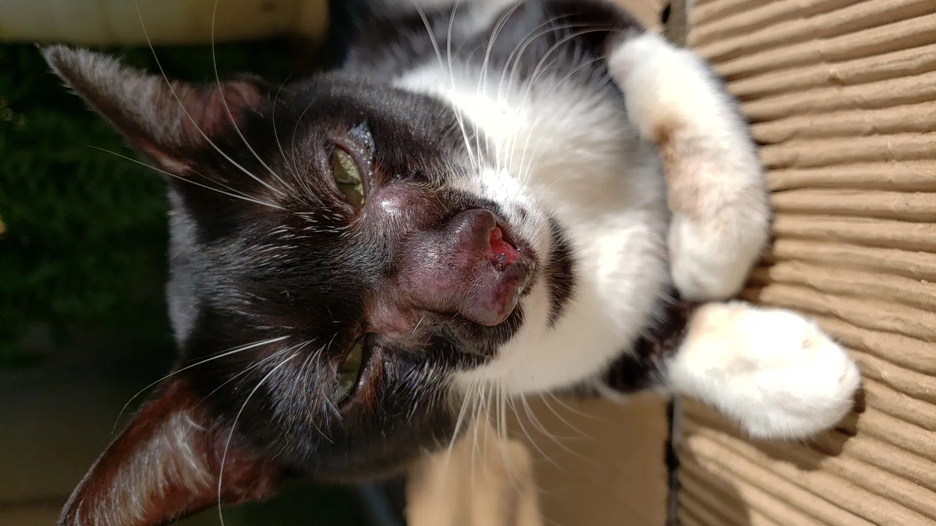 2ª imagem da campanha