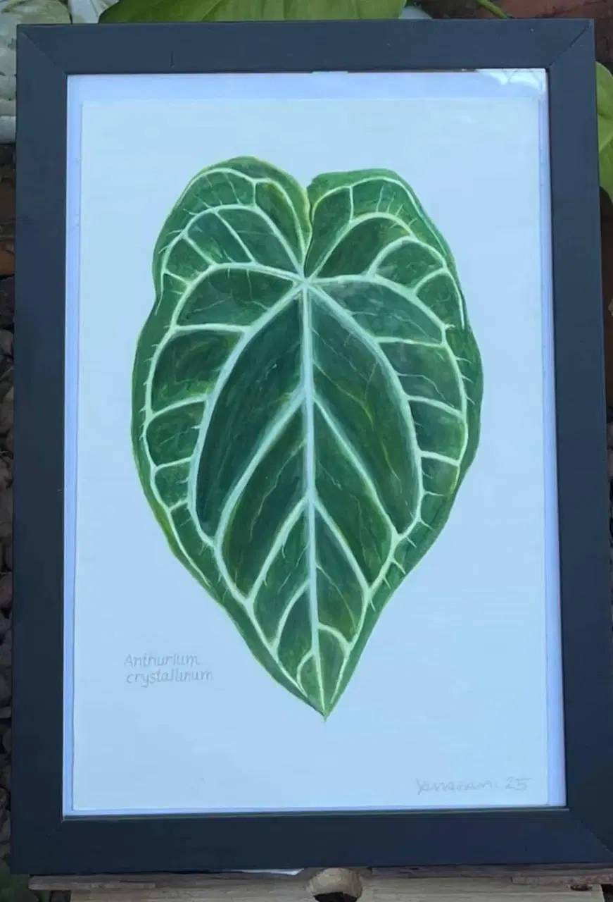 1ª imagem da campanha