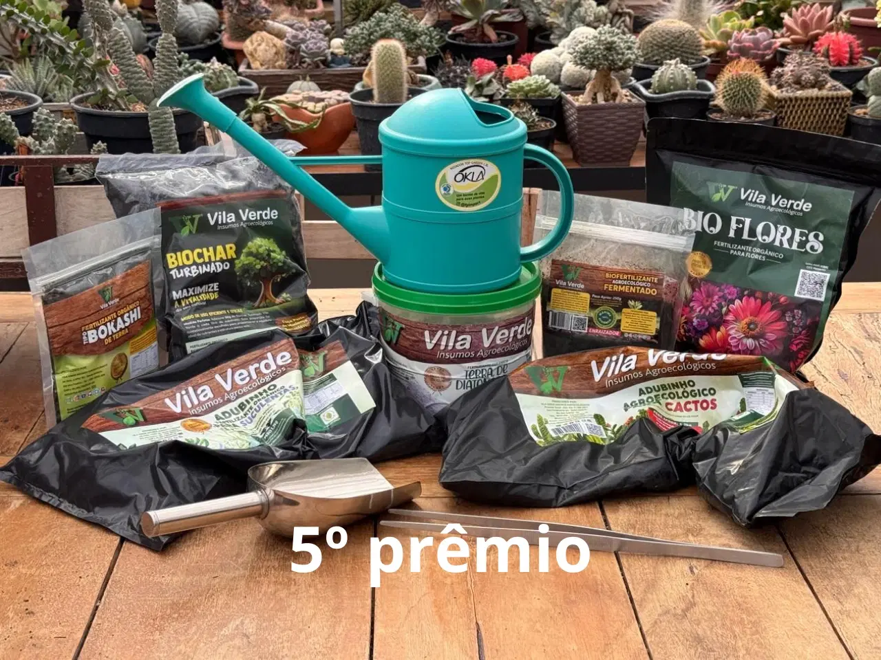 6ª imagem da campanha