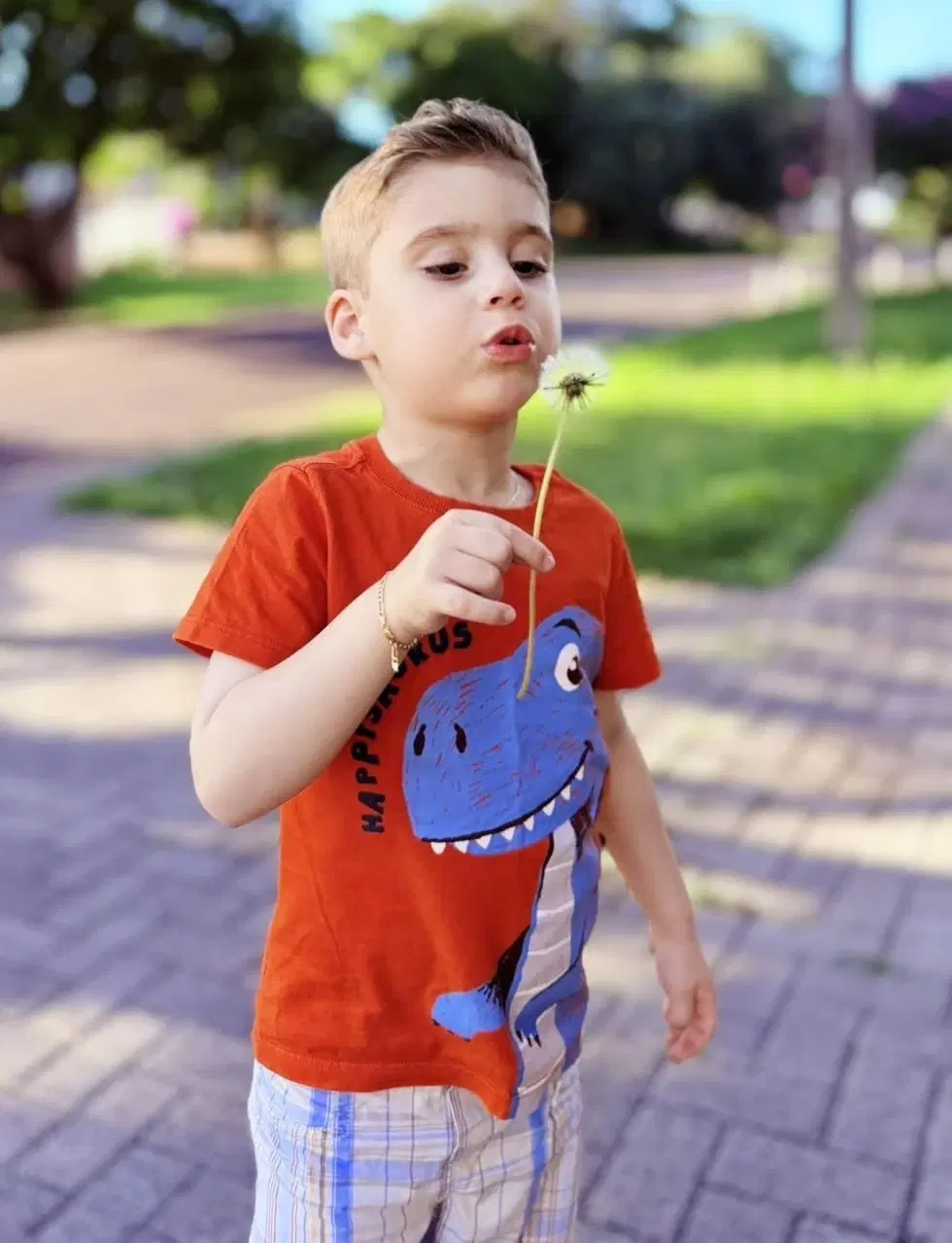 11ª imagem da campanha