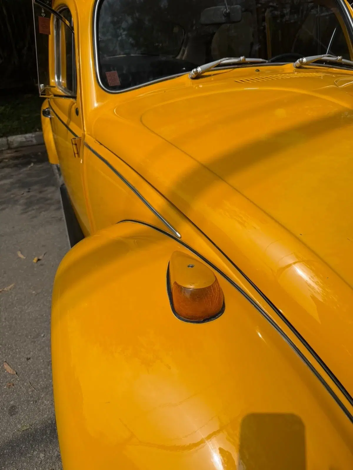 13ª imagem da campanha