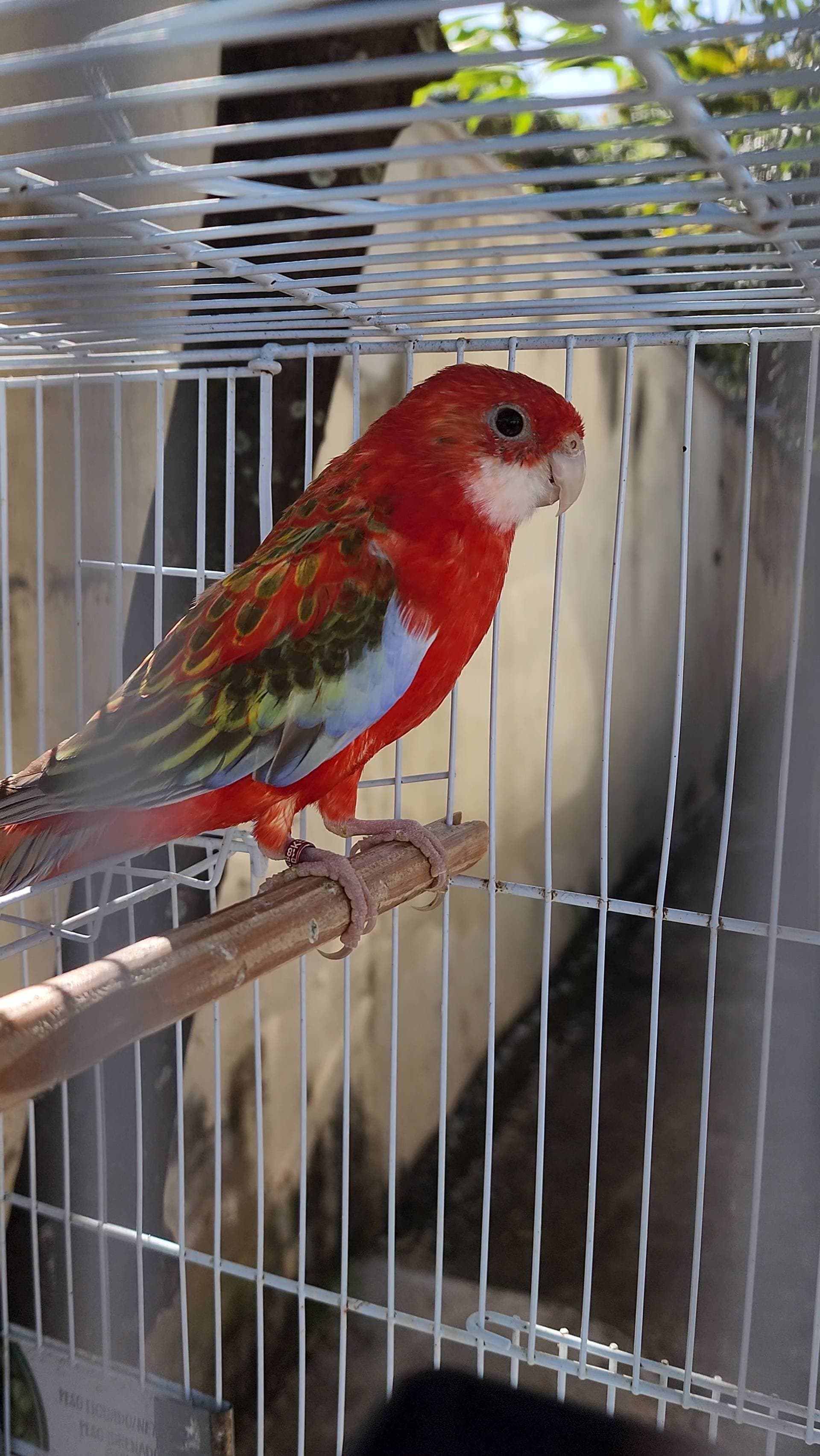 4ª imagem da campanha