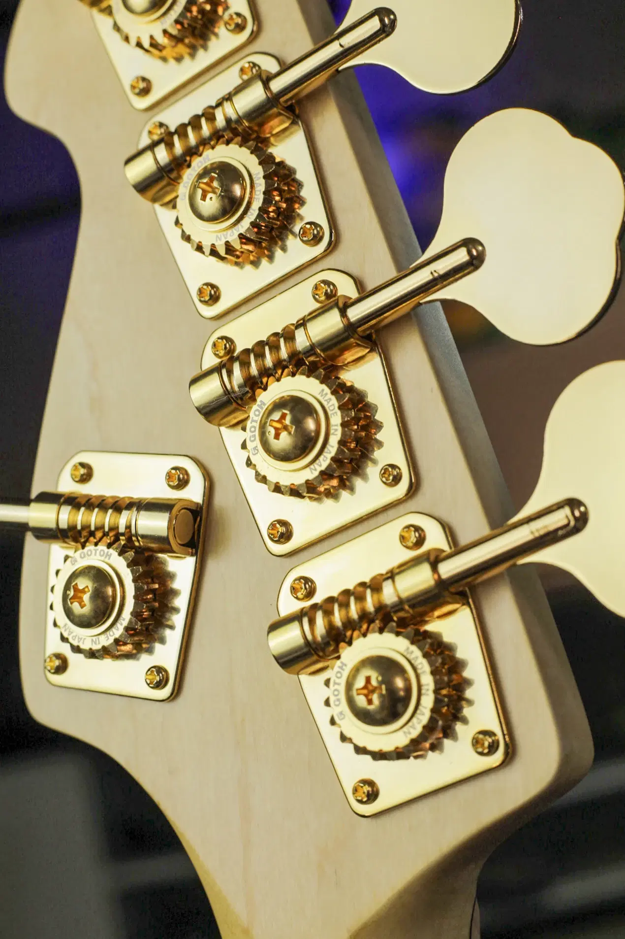 14ª imagem da campanha