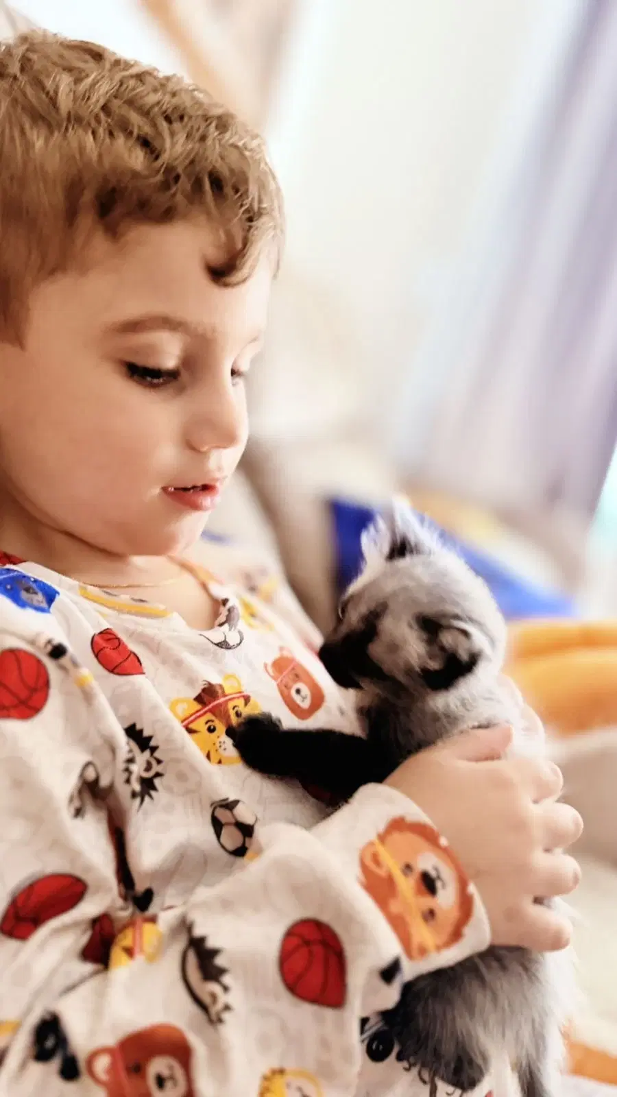 6ª imagem da campanha