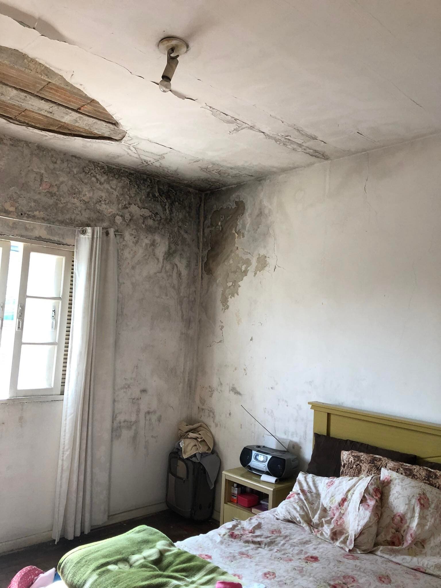 11ª imagem da campanha