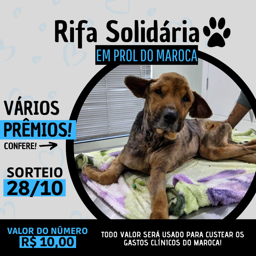 1ª imagem da campanha