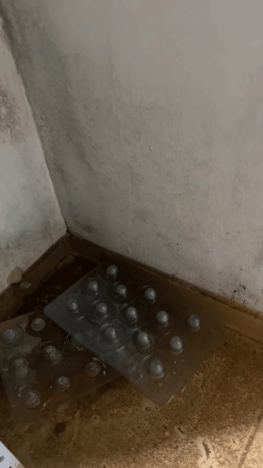 12ª imagem da campanha