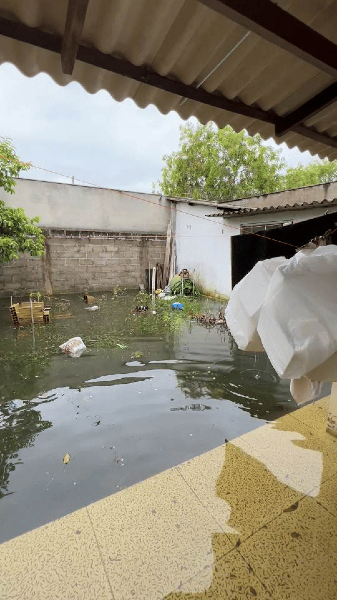 20ª imagem da campanha