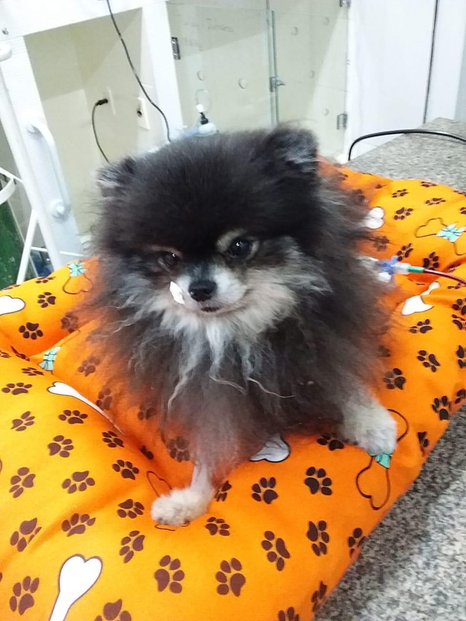 5ª imagem da campanha