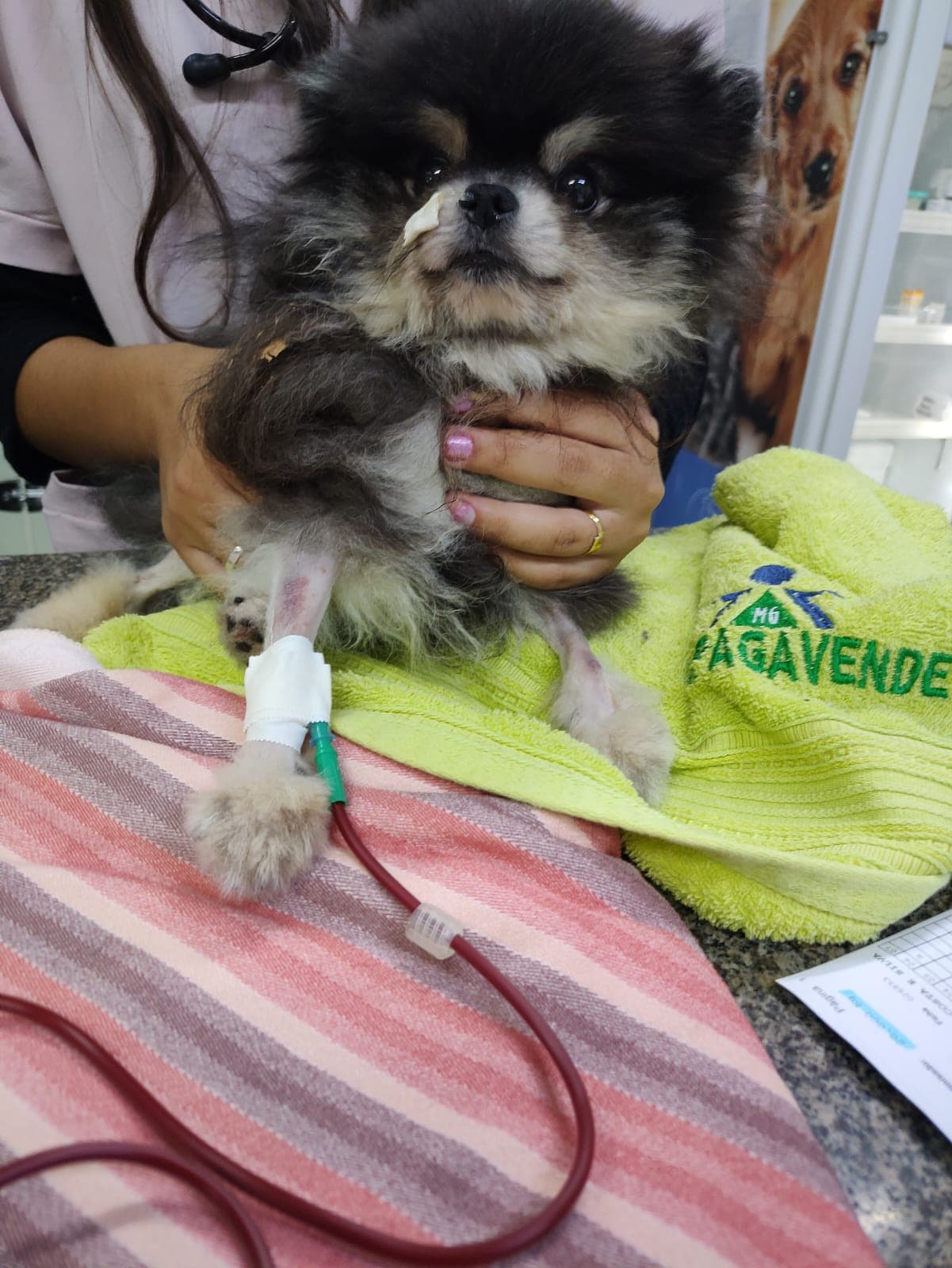 3ª imagem da campanha