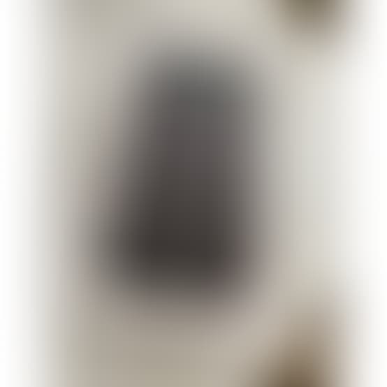 SORTEIO DE UM IPHONE 11 + 4 RODADAS DE 100R$