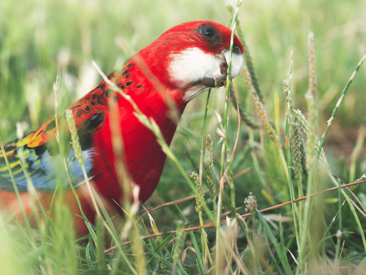 2ª imagem da campanha