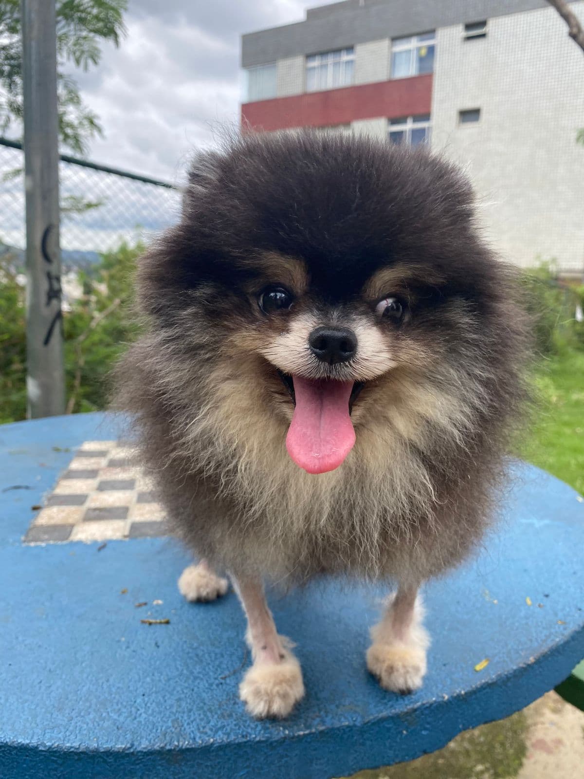 2ª imagem da campanha