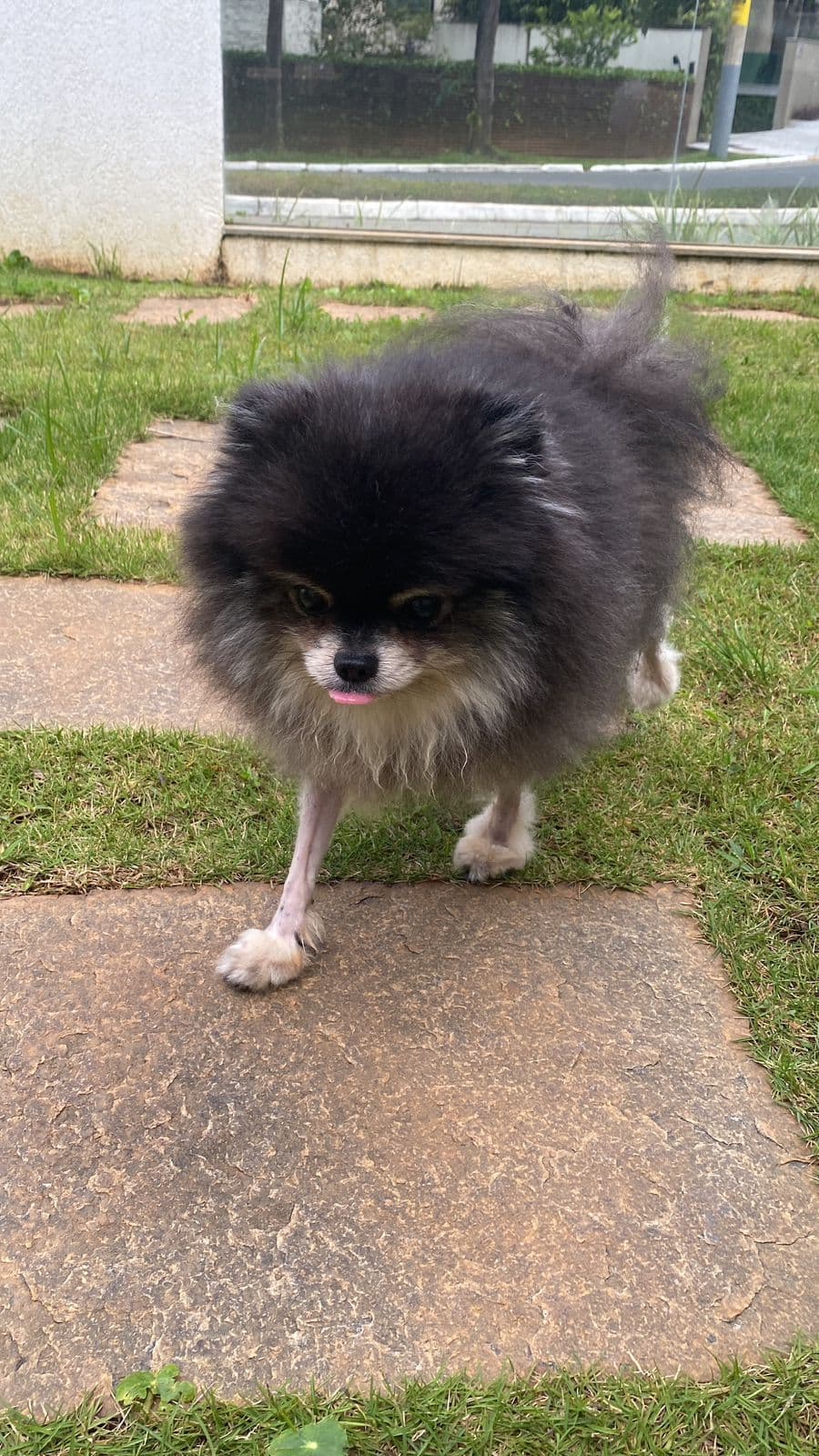 4ª imagem da campanha