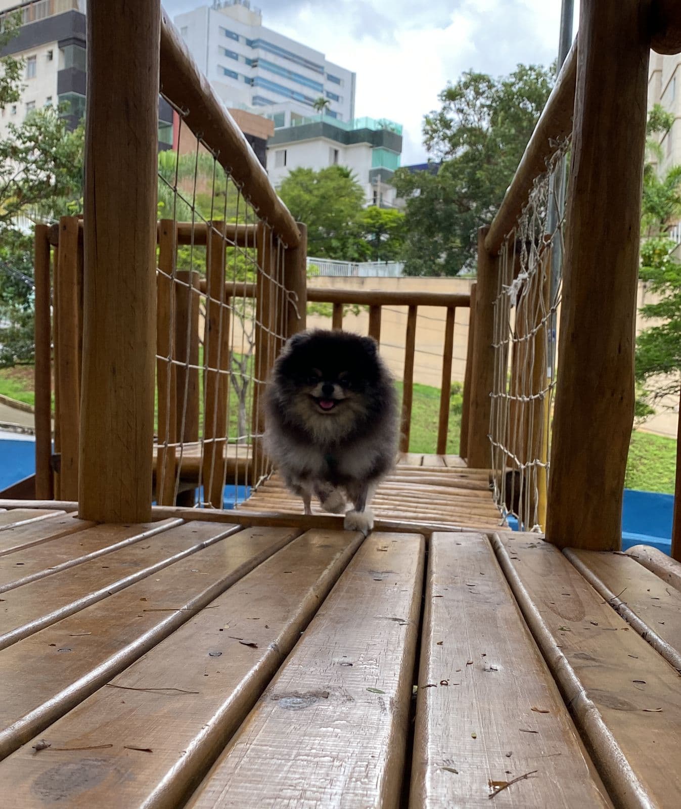 6ª imagem da campanha