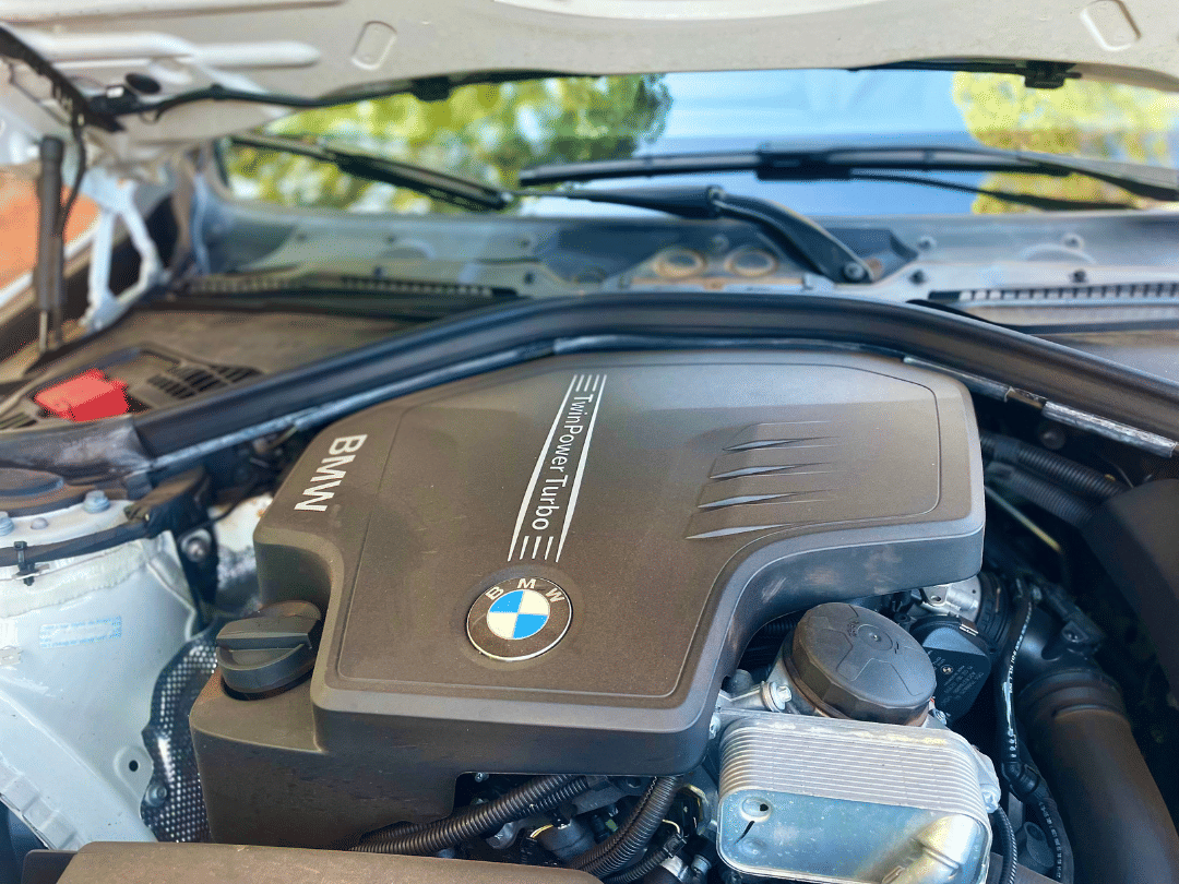 10ª imagem da campanha