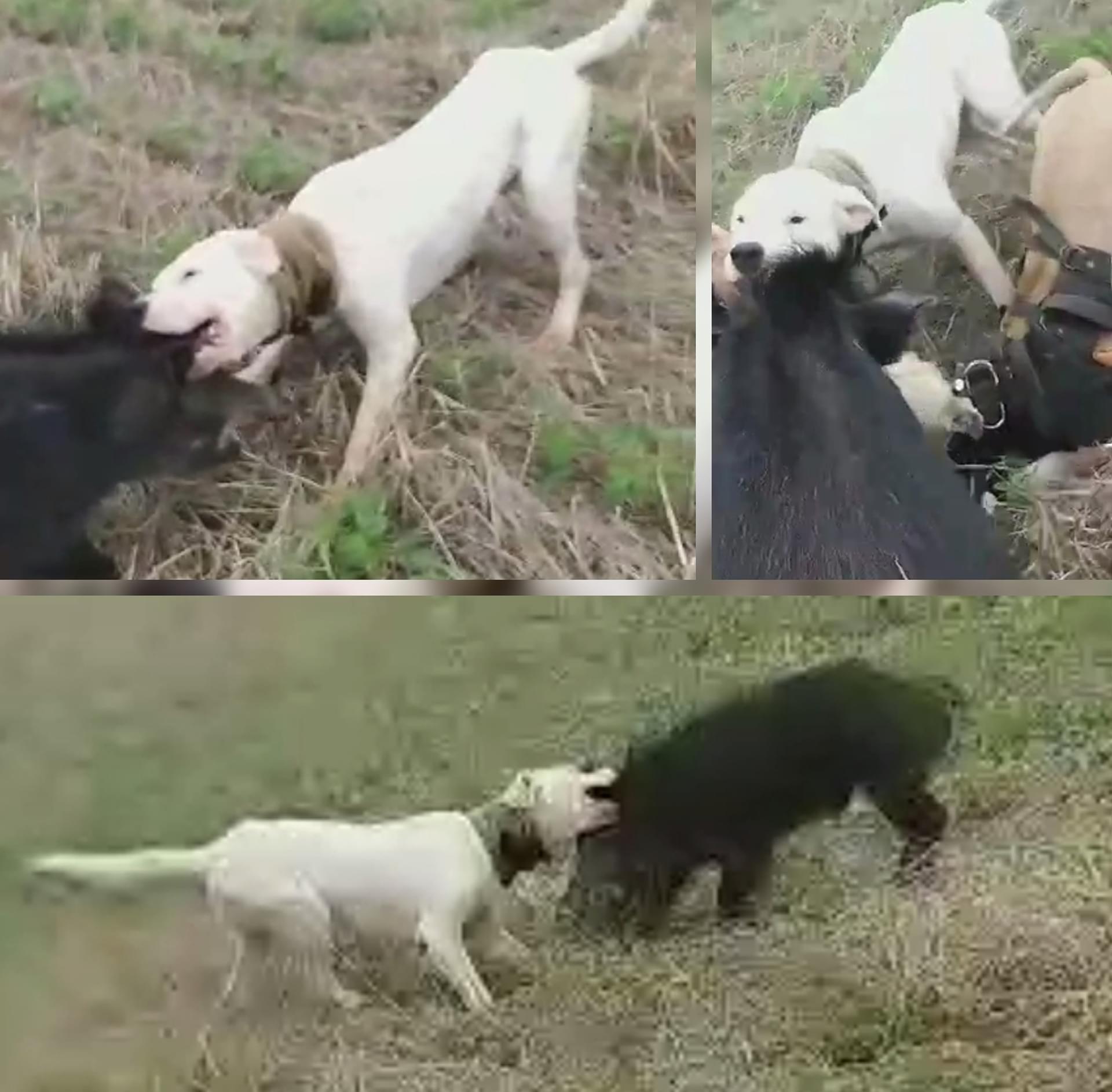 3ÂȘ imagem da campanha