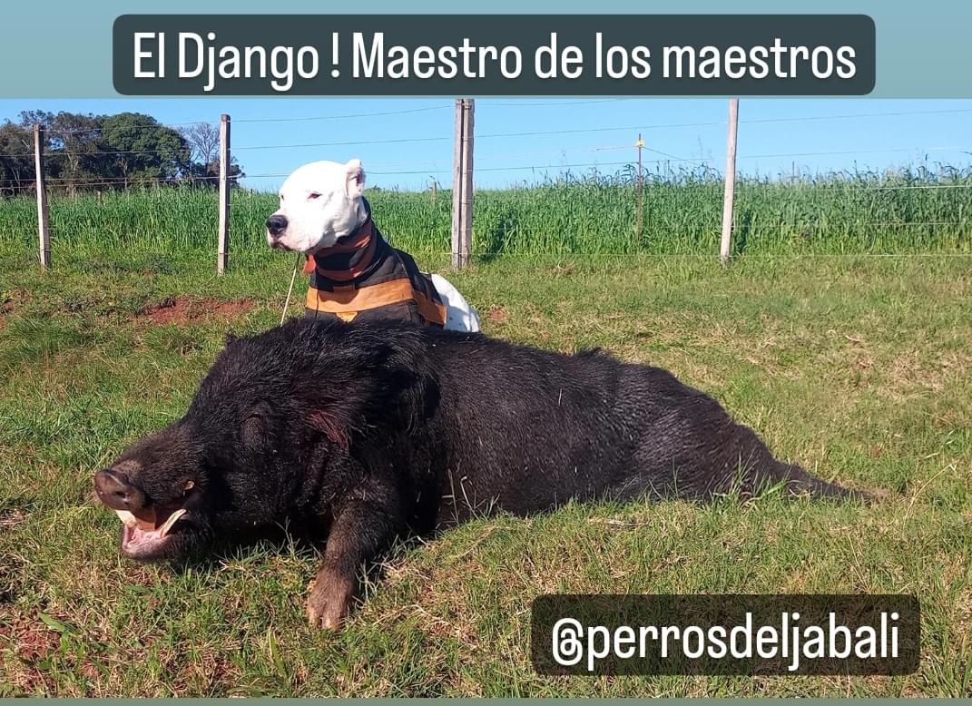 1ÂȘ imagem da campanha