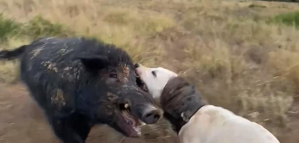 4ÂȘ imagem da campanha