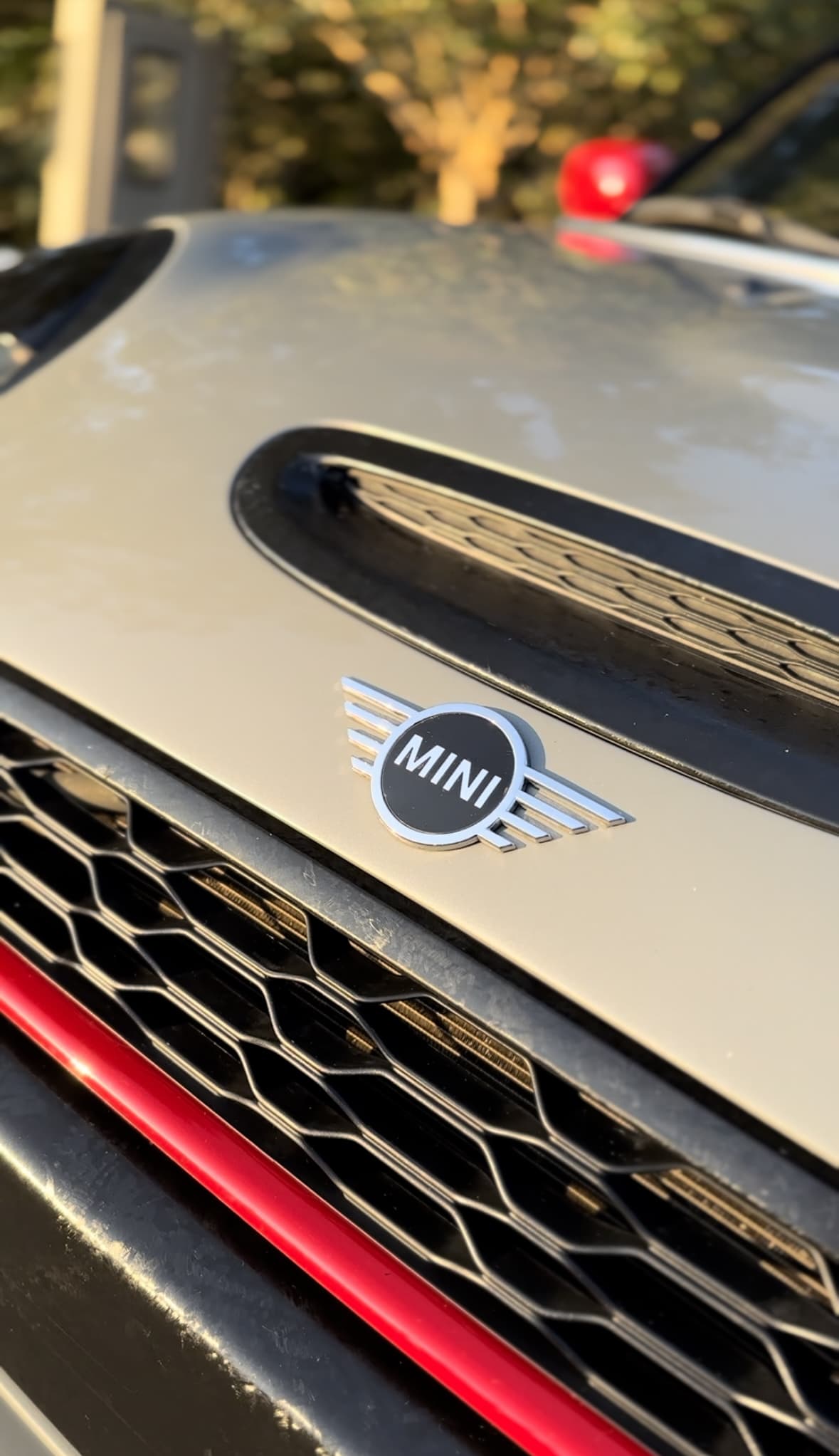 8ª imagem da campanha