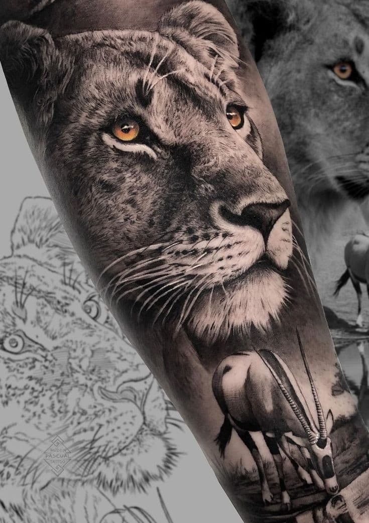 13ª imagem da campanha