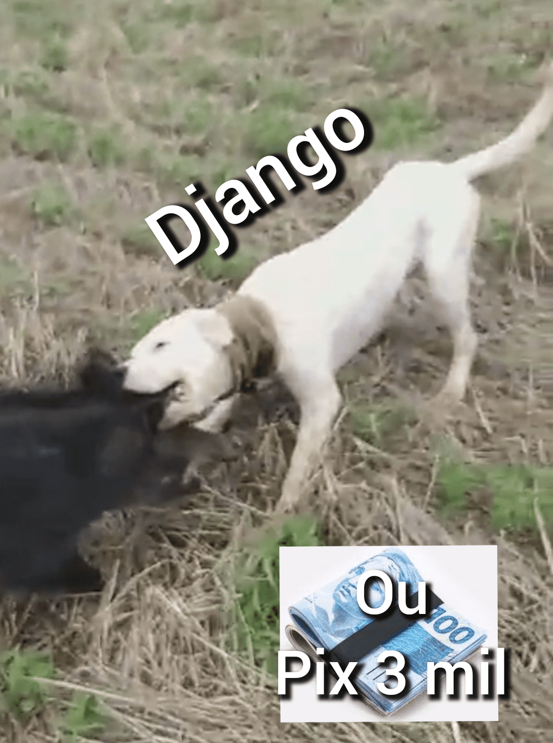 2ÂȘ imagem da campanha