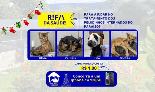 1ª imagem da campanha