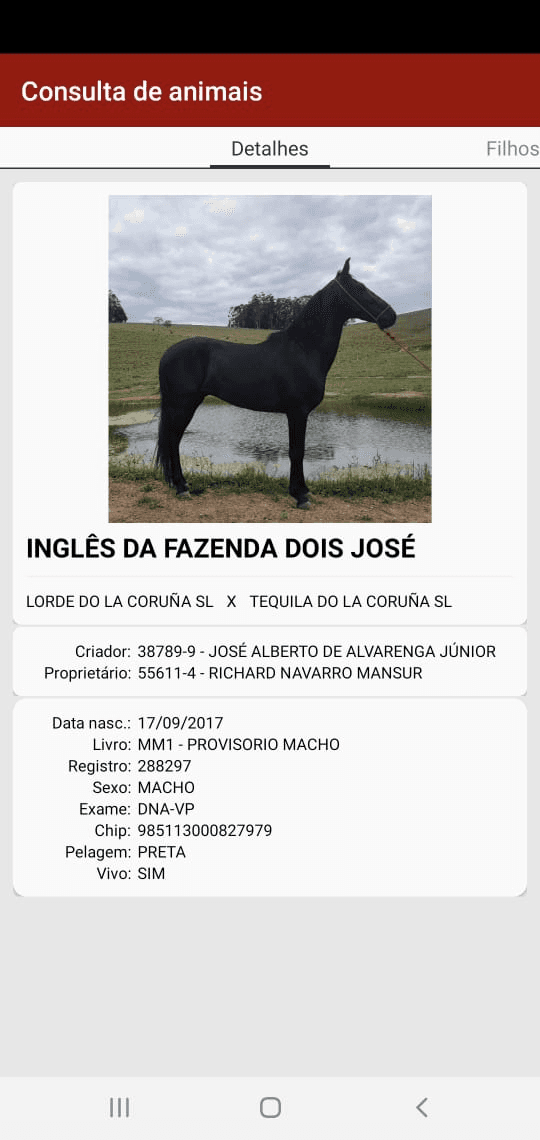 3ª imagem da campanha