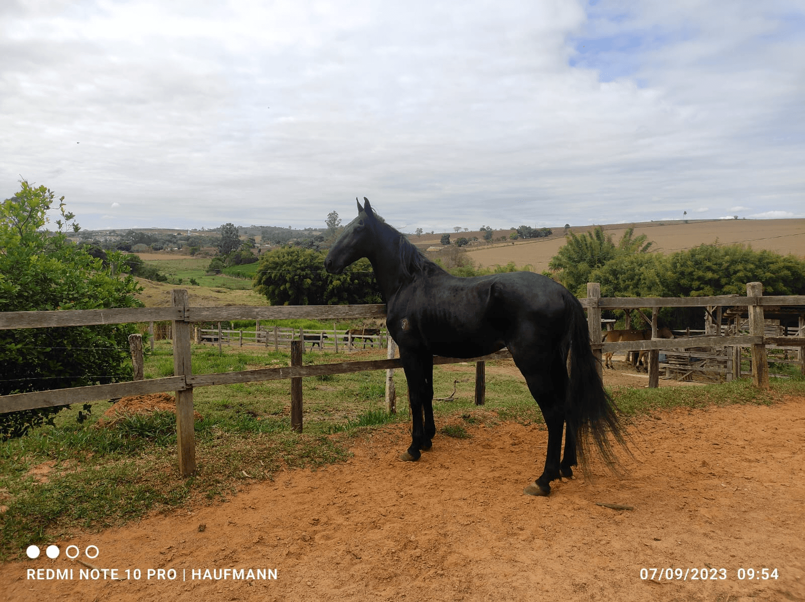 2ª imagem da campanha