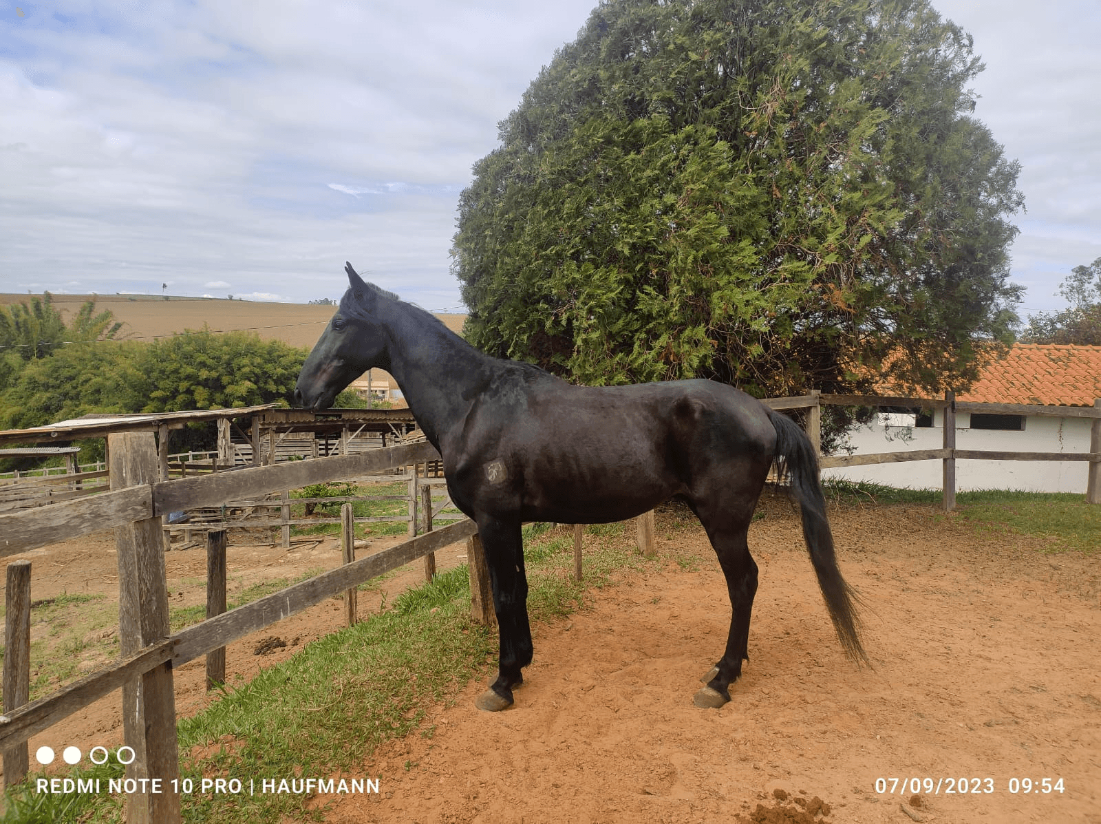 5ª imagem da campanha