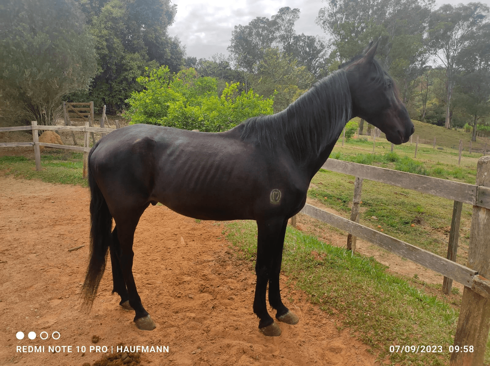 6ª imagem da campanha