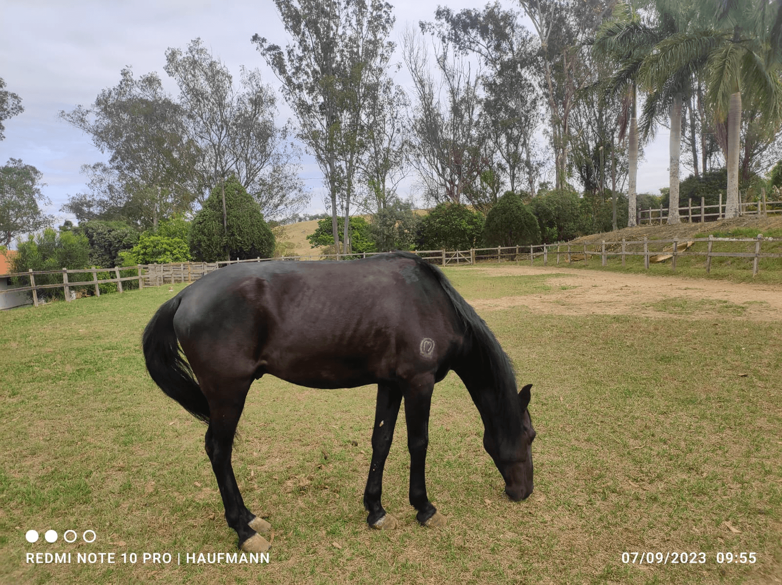 8ª imagem da campanha