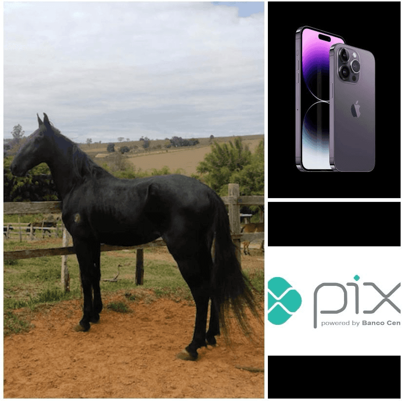 1ª imagem da campanha