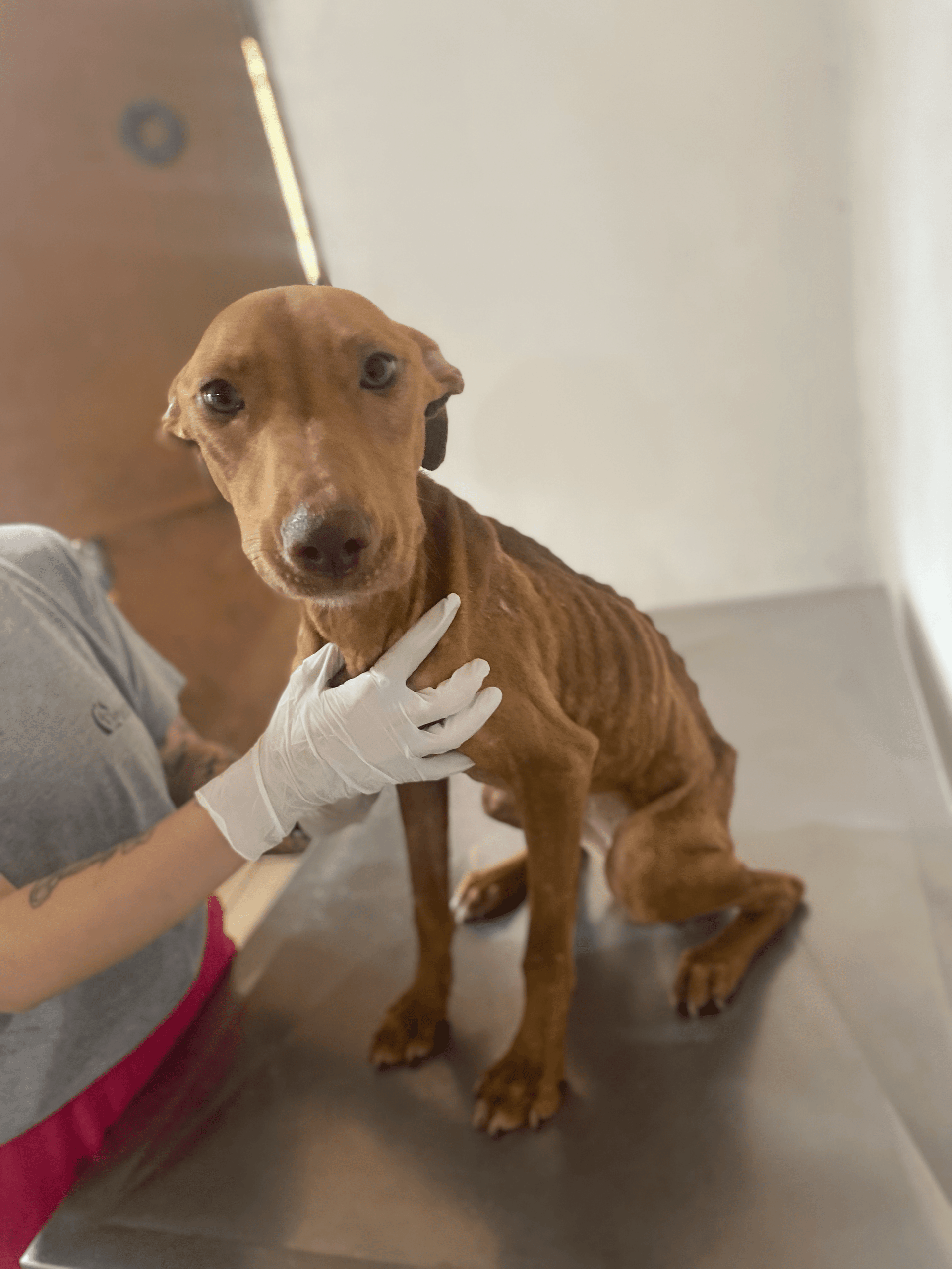 1ª imagem da campanha