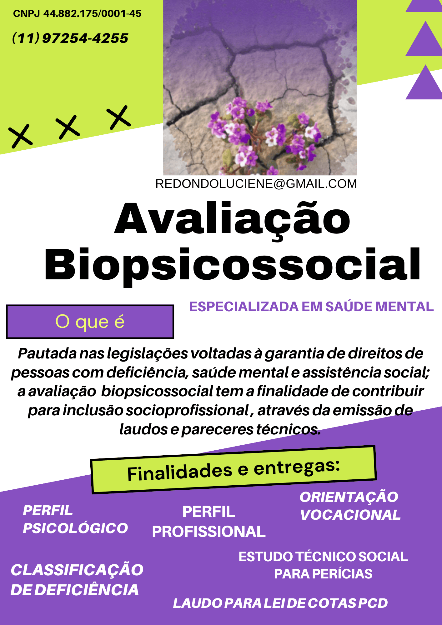 1ª imagem da campanha