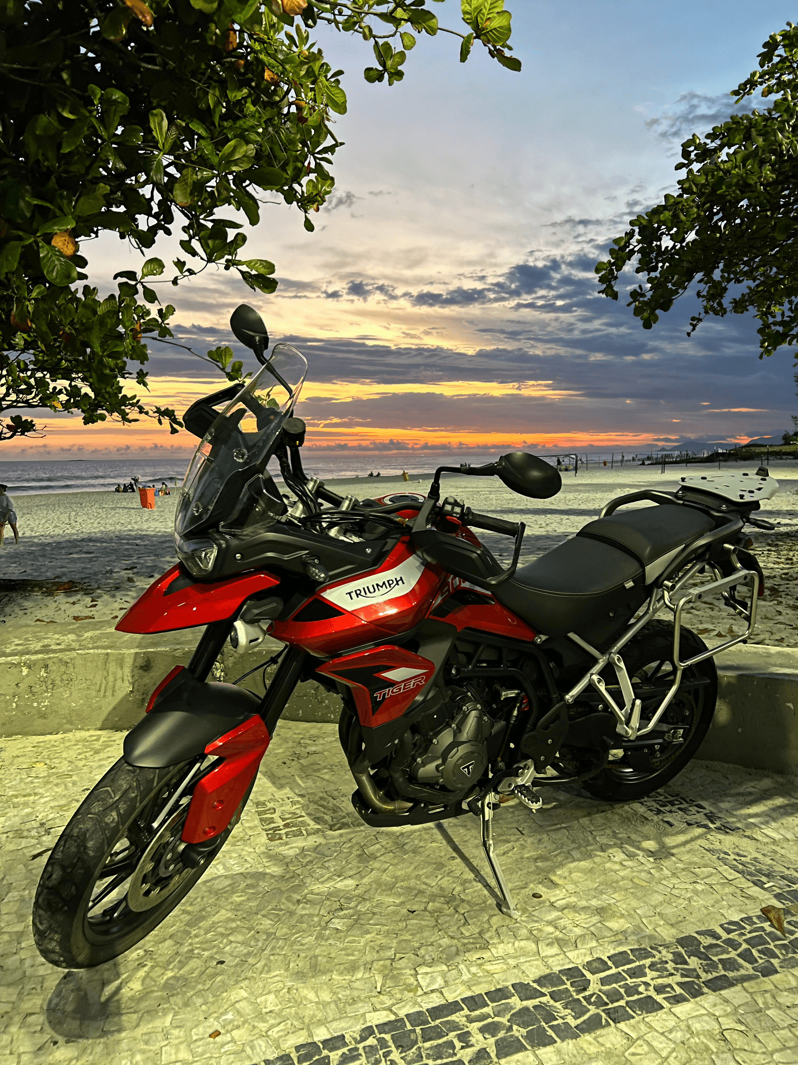 TRIUMPH TIGER 900