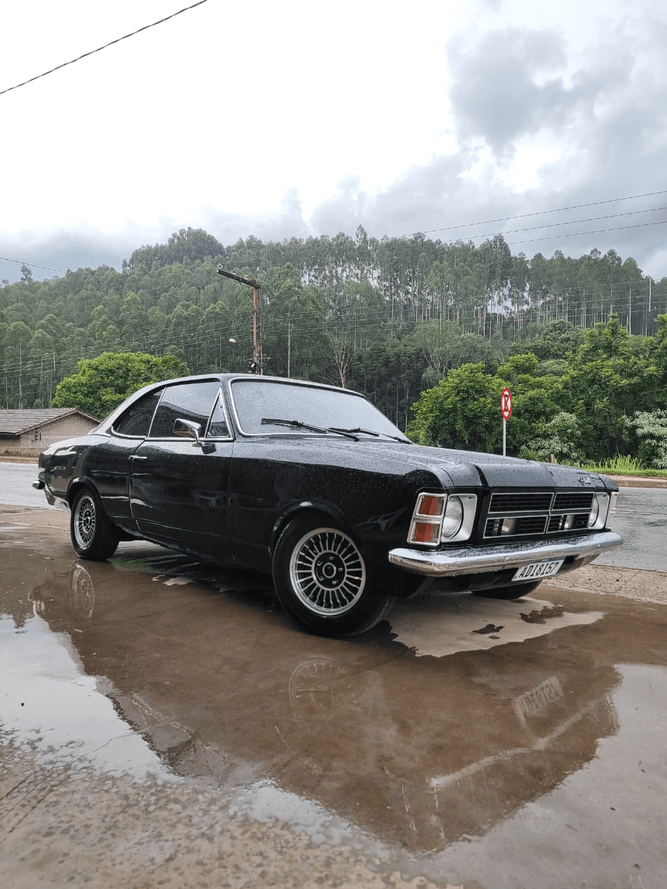 Opala 77 Pérola Negra  ou R$50.000 no Pix