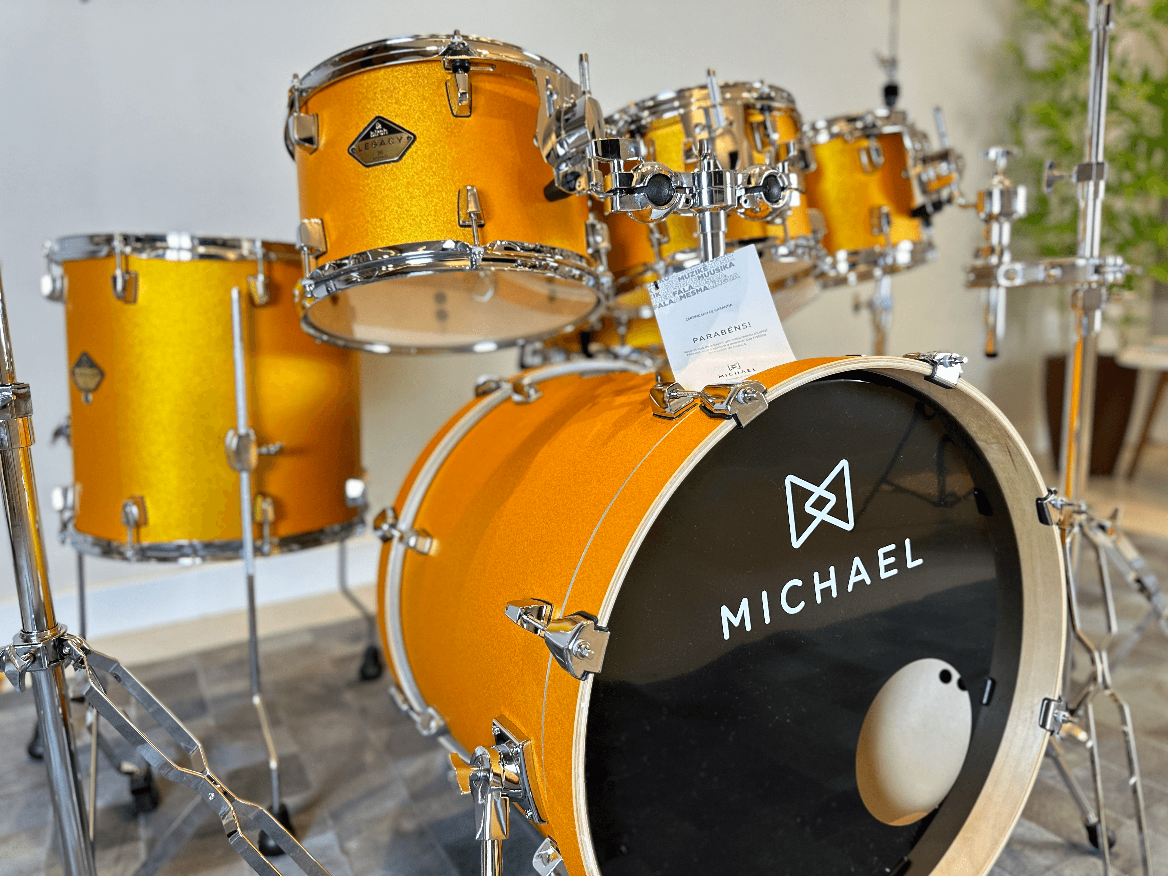 Ação Bateria Michael Legacy Birch