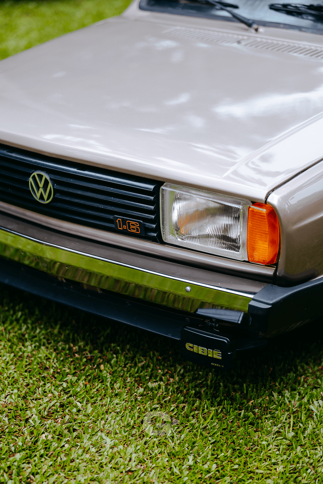 7ª imagem da campanha